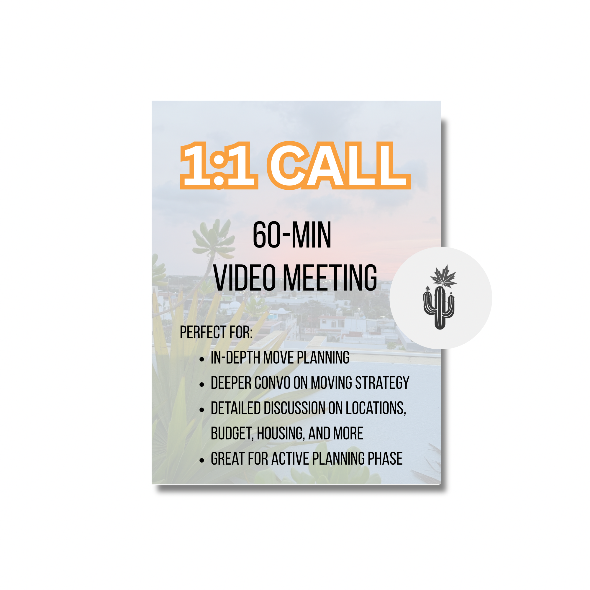 1-on-1 Call: Moving to Mexico Consultation